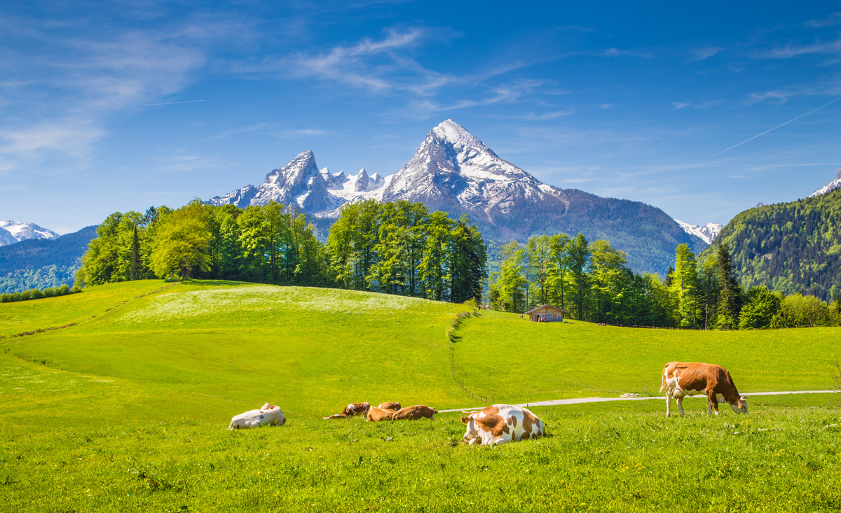 Wunderschönes Landschaftsbild der Bayerischen Alpen